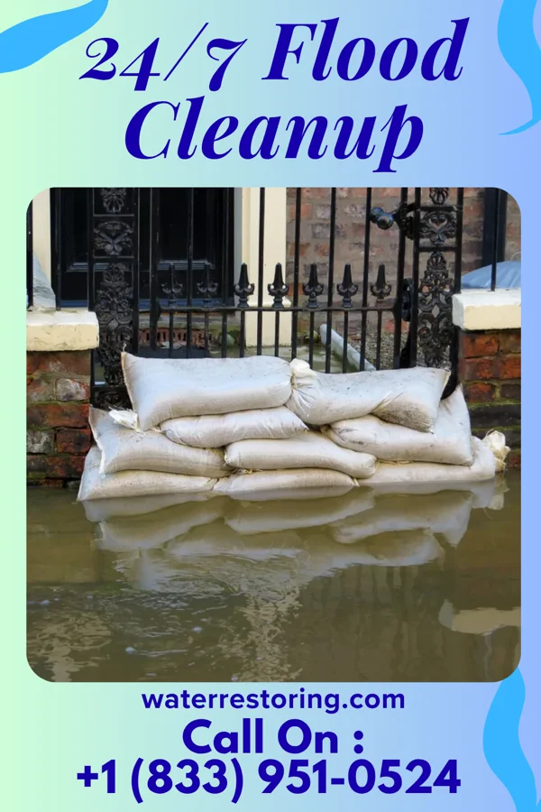 24/7 Flood Cleanup in Princess Anne, MD