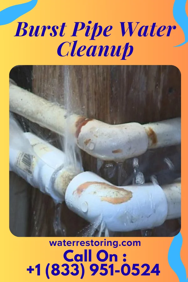 Burst Pipe Water Cleanup in Princess Anne, MD