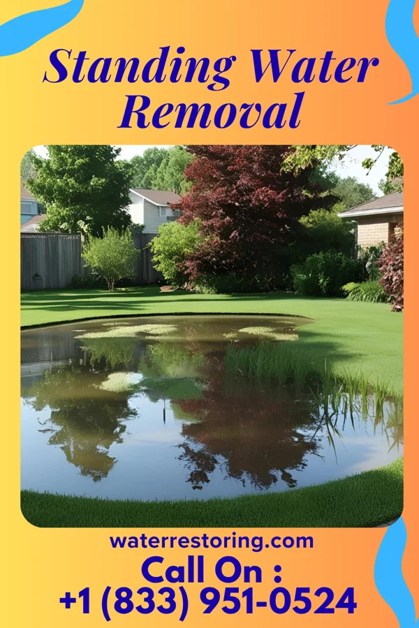 Standing Water Removal in Princess Anne, MD